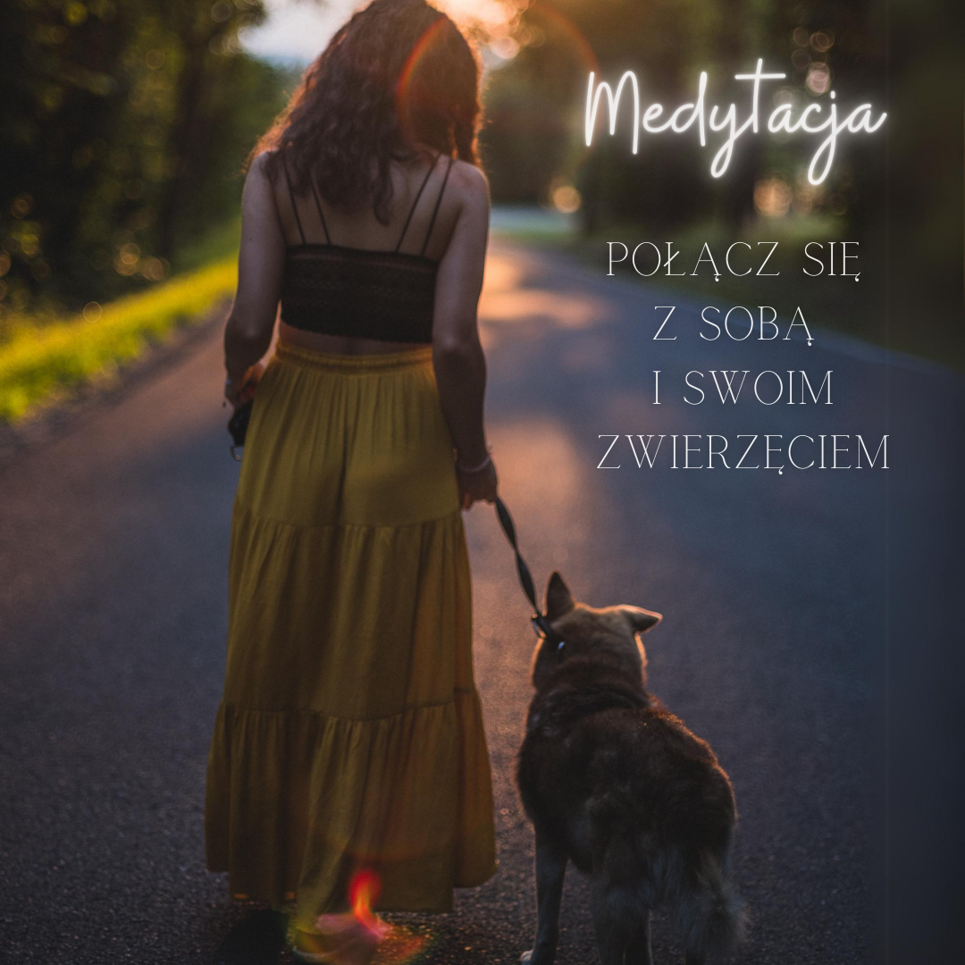 ✨ Medytacja połączenia ze sobą i swoim zwierzęciem✨