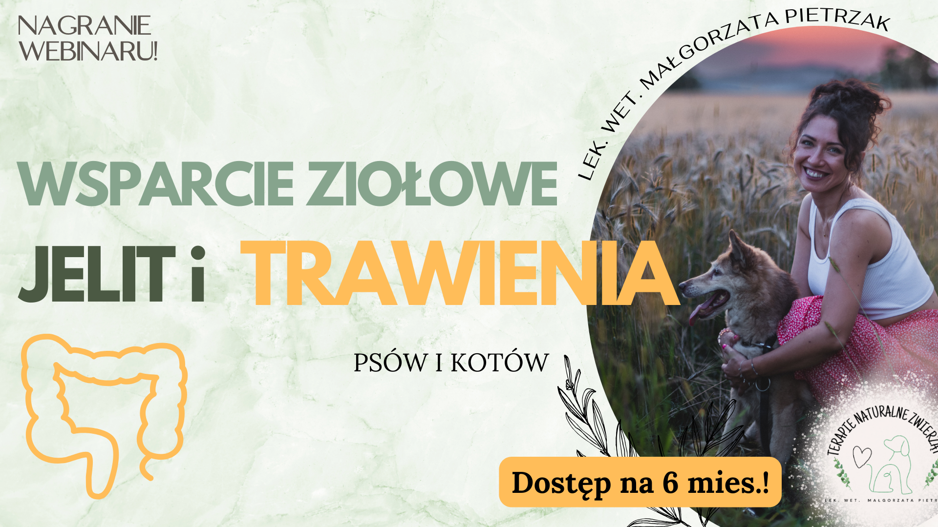 Wsparcie ziołowe jelit i TRAWIENIA psów i kotów