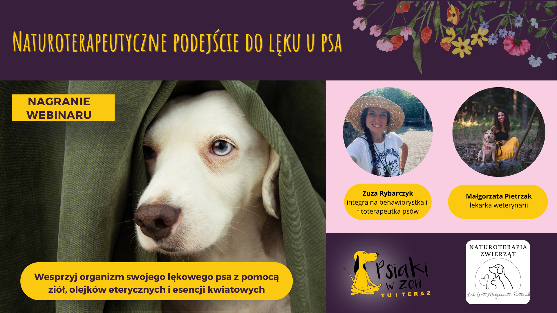 Naturoterapeutyczne podejście do lęku u psa - nagranie Webinaru