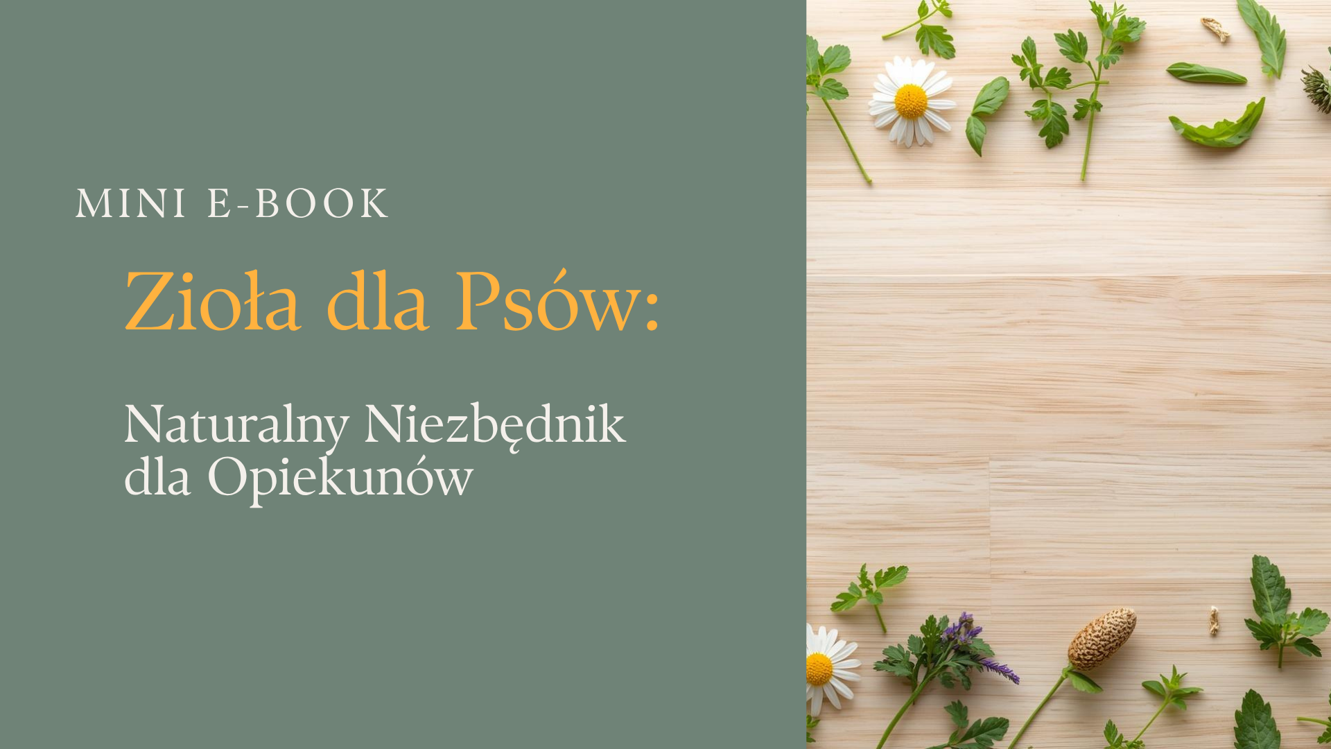Mini E-book 