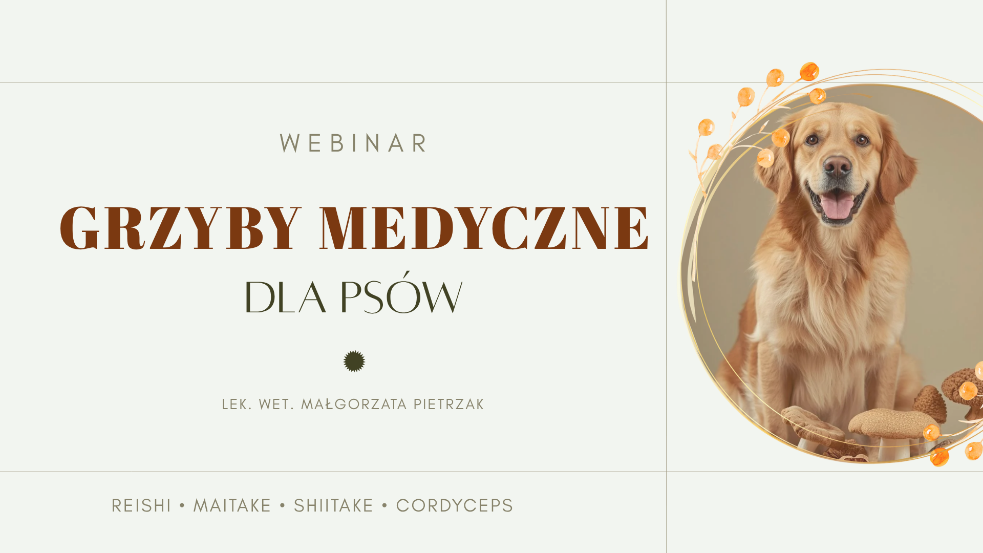 Grzyby medyczne dla psów